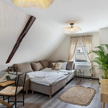 Appartio - Gemuetliche Maisonette - Mitten In Der Altstadt Appartement Worms